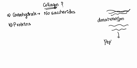 collagen-is-a-a-carbohydrate-b-protein-d-fat-c-polysaccharide-14182