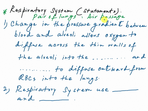 complete-the-following-paragraph-to-describe-the-respiratory-system-and-its-role-in-homeostasis-answers-may-be-used-more-than-once-lowers-raises-mechanical-receptors-humerus-decreasing-cardi-97261