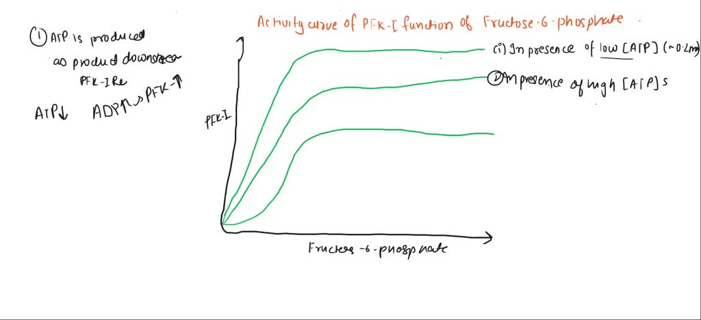 Solved Question 3 8 Points The Key Enzyme In Glycolysis Is Pfk 1 When Pfk 1 Is Active The 6393