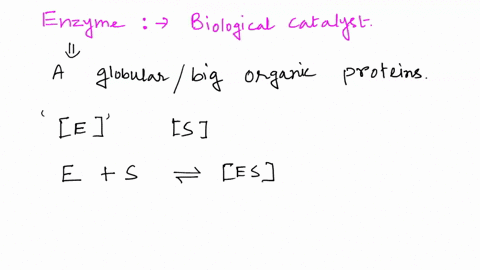what-is-an-enzyme-write-the-equation-of-a-chemical-reaction-involving-one-substrate-and-an-enzyme-express-the-change-in-substrate-concentration-over-time-05897