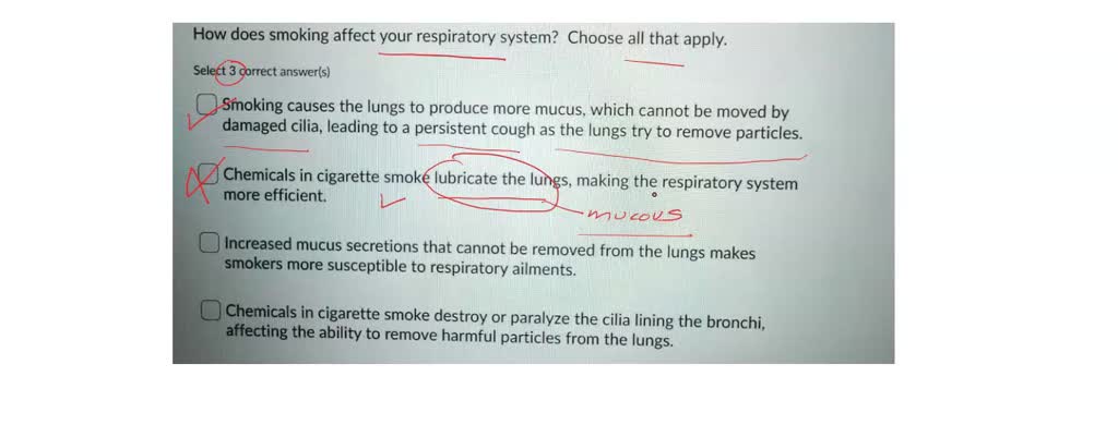 SOLVED Question 7 2 points How does smoking affect your