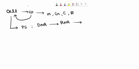 classify-each-of-the-following-risk-factors-as-having-genetic-component-or-not-having-genetic-component-exercise-iheighi-genetic-lifestyle-choice-cholesterol-melabolism-axercise-choleslerol-10328