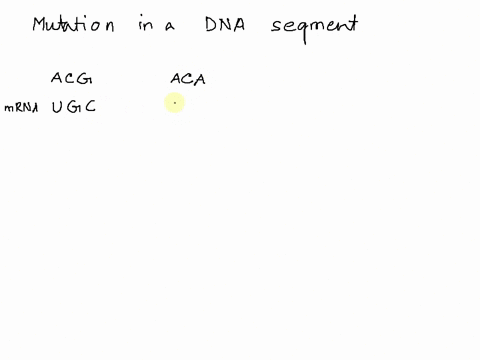 during-transcription-the-dna-base-sequence-is-transcribed-into-a-complementary-mrna-sequence-a-codon-table-like-the-one-shown-below-lists-the-amino-acids-coded-for-by-particular-triads-of-mr-55439