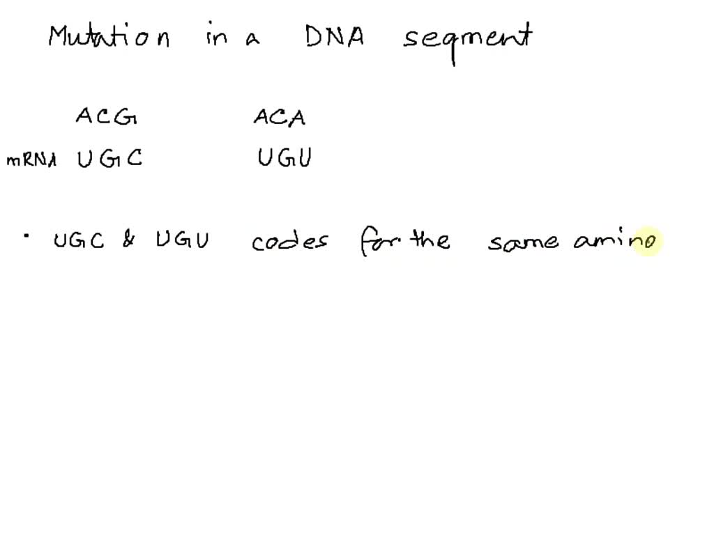 solved-during-transcription-the-dna-base-sequence-is-transcribed-into