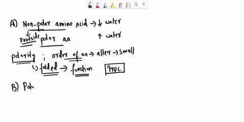 indicate-whether-the-following-statements-are-true-or-false-if-a-statement-is-false-explain-why-it-is-false-a-generally-the-total-number-of-nonpolar-amino-acids-has-a-greater-effect-on-prote-07535