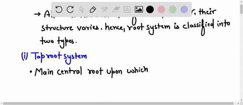 identify-the-two-types-of-root-systems-at-least-4-sentences-required