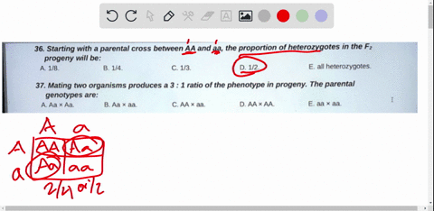 36-starting-with-parental-cross-between-aa-and-aa-the-proportion-of-heterozygotes-in-the-fz-progeny-will-be-18-b-14-c-13-d-12-e-all-heterozygotes-37-mating-two-organisms-produces-a-3-1-ratio-67296