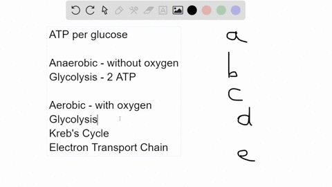 question-14-1-point-which-of-the-following-processes-produces-the-most-atp-per-molecule-of-glucose-oxidized-alcoholic-fermentation-lactic-acid-fermentation-anaerobic-respiration-aerobic-resp-62818