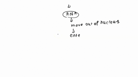 question-9-the-nonpolar-part-of-a-phospholipid-is-repelled-by-water-and-is-said-to-be-hydrophobic-true-false-question-10-a-codon-is-a-section-of-dna-that-specifies-3-single-amino-acid-true-f-20031