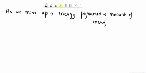 what-happens-to-the-amount-of-energy-as-an-energy-pyramid-moves-from-the-bottom-which-includes-producers-to-the-higher-levels-of-the-pyramid-28058
