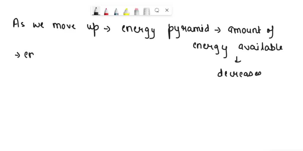 solved-what-happens-to-the-amount-of-energy-as-an-energy-pyramid-moves