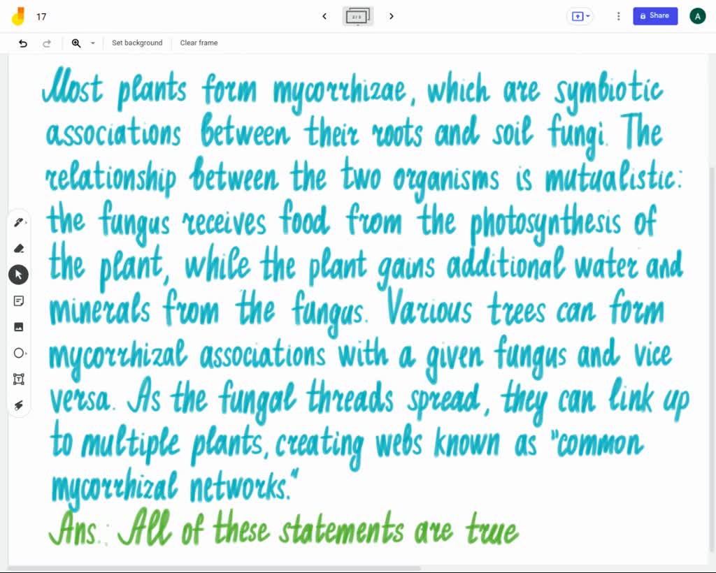 SOLVED Which of the following statements about mycorrhizae is false
