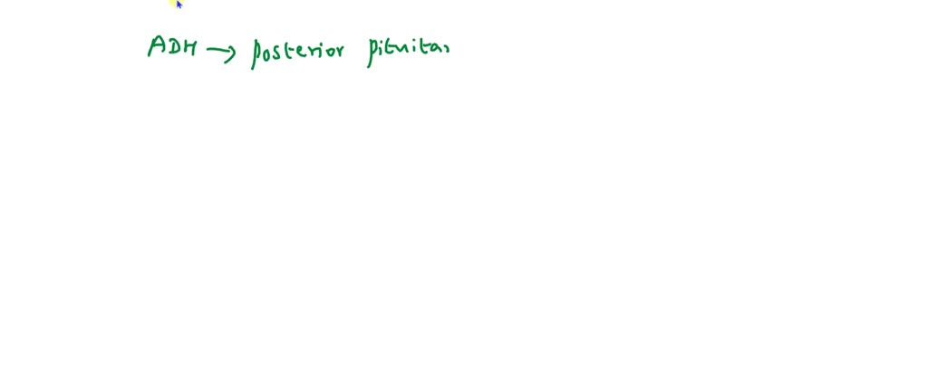 SOLVED Explain Formation Of Dilute Vs Concentrated Urine Include The 