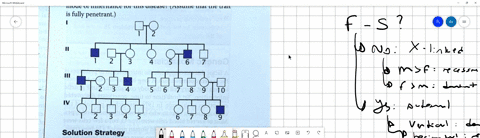the-following-pedigree-represents-the-inheritance-of-a-rare-disorder-in-an-extended-family-what-is-the-most-likely-mode-of-inheritance-for-this-disease-assume-that-the-trait-is-fully-penetra-33063