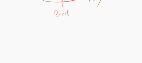 assume-the-following-food-web-plantsinsectsbirds-the-production-efficiency-of-the-herbivore-is-40-the-amount-of-food-consumed-by-the-herbivore-is-equal-to-20-of-npp-60-of-the-biomass-consume-35595