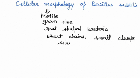 1-what-scientific-term-describes-the-cellular-morphology-of-bacillus-subtilis-escherichia-coli-2-can-you-determine-whether-or-not-a-bacterial-culture-grown-in-broth-is-a-pure-culture-by-visu-79383
