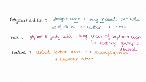 describe-the-structural-organization-of-polysaccharides-fats-proteins-and-nucleic-acids-51553