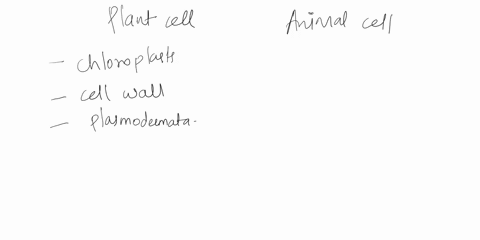 name-3-organelles-that-are-observed-in-plant-cell-under-light-microscope-and-absent-in-animal-cell-viewed-under-same-microscope-94927