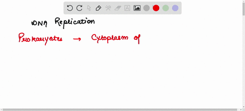 which-ot-the-following-is-not-true-statement-comparing-prokaryotic-and-eukaryotic-dna-replication-dna-replication-always-occurs-in-ihe-nucleus-only-eukaryotic-chromosomes-require-telomerase-14506