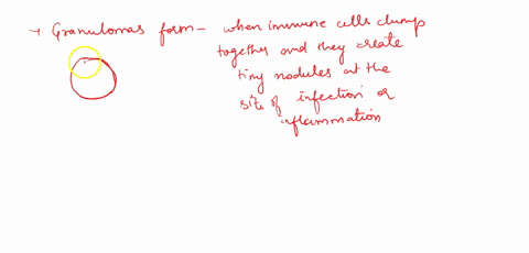 which-of-the-following-statements-are-trueaall-white-blood-cells-are-phagocyticba-granuloma-is-one-of-the-hallmark-signs-of-an-acute-inflammationcthe-complement-cascade-functions-to-induce-p-69154