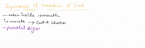 on-a-cellular-level-why-must-food-be-broken-down-a-large-molecules-present-in-intact-food-pass-throu-82412