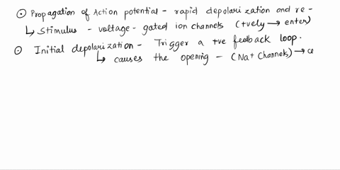 describe-the-propagation-of-an-action-potential-along-a-nerve-axon-and-the-functioning-of-voltage-gated-cation-channels-that-contribute-to-the-generation-and-propagation-of-action-potentials-48835