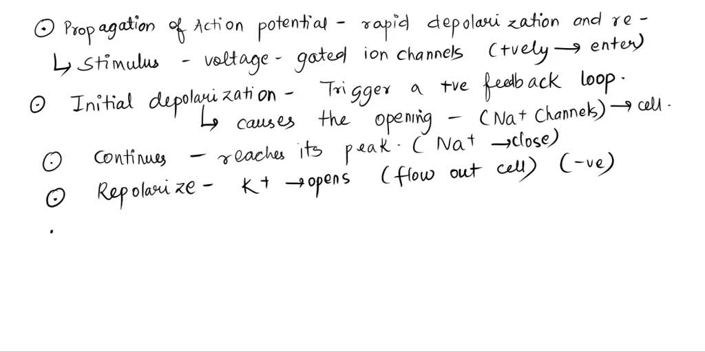 SOLVED: Describe the propagation of an action potential along a nerve ...