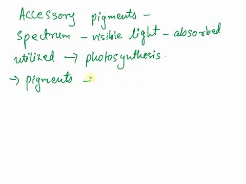 uestion-3-ccessory-pigments-select-all-that-apply-are-xanthophylls-chlorophyll-b-and-carotene-all-of-the-choices-are-correct-broaden-the-spectrum-of-visible-light-that-can-be-absorbed-and-ut-14338