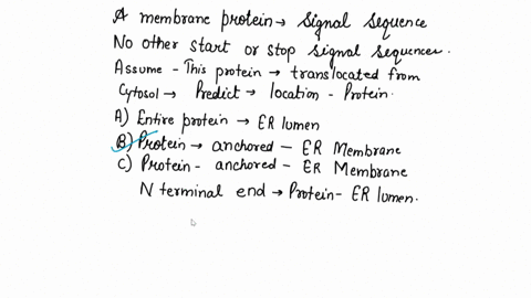 a-membrane-protein-has-an-internal-signal-sequence-but-no-other-start-or-stop-signal-sequences-assume-this-protein-is-translocated-from-cytosol-into-the-er-predict-the-location-of-this-prote-47292