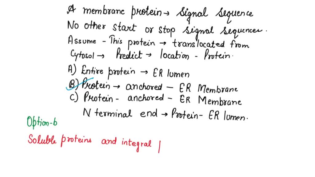 SOLVED 'The integral membrane proteins are synthesized on ribosomes