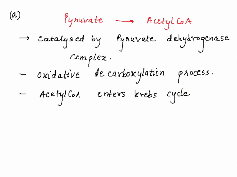 the-rate-of-glucose-breakdown-slows-when-cells-are-provided-an-oxygen-rich-environment-which-suggests-a-level-of-metabolic-control-select-all-answers-which-correctly-describe-how-oxygen-coul-23073