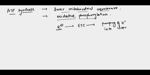 the-enzyme-atp-synthase-is-part-of-the-process-required-to-synthesize-atp-from-adp-and-inorganic-phosphate-in-the-mitochondriawhich-of-the-following-conditions-would-stimulate-the-synthesis-42247