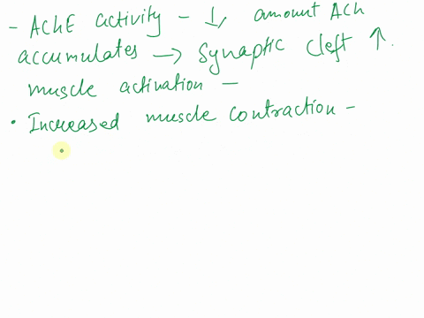 acetylcholine-is-a-common-neurotransmitter-released-at-the-synapse-predict-the-consequences-for-muscle-activation-of-decreased-acetylcholinesterase-activity-degrades-acetylcholine-at-synapse-97517