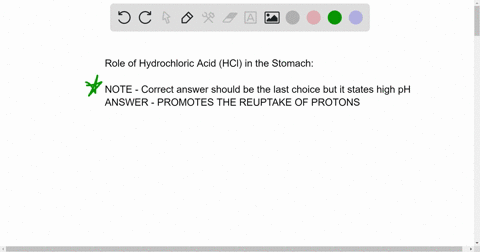 what-is-the-biological-role-of-hydrochloric-acid-in-the-stomach