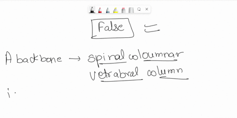 true-or-false-a-backbone-is-always-made-of-bone-60075