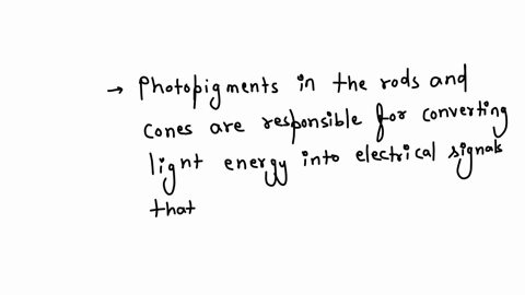 the-photopigments-present-in-rods-and-in-cones-what-is-the-role-in-the-vision