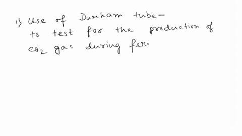 answer-the-following-questions-1-what-is-the-purpose-of-the-durham-tube-in-a-carbohydrate-fermentation-broth-2-what-are-the-bubbles-that-are-formed-during-the-catalase-reaction-choose-one-a-18745