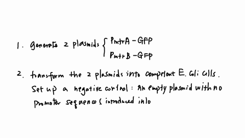 c-design-an-experiment-to-test-your-hypothesis-you-have-available-to-you-i-plasmid-dna-containing-the-gfp-gene-ii-two-dna-segments-each-containing-a-different-promoter-sequence-pmtra-isolate-40938