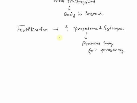 the-female-contraceptive-pill-is-a-combination-of-estrogen-and-progesterone-taken-for-21-days-followed-by-a-placebo-sugar-pill-taken-for-7-days-it-is-sometimes-said-the-female-contraceptive-17433