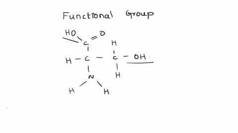 estion45-which-functional-group-is-present-in-this-molecule-tyet-swered-ho-irked-out-of-0-h-h-c-c-oh-flag-estion-n-h-h-h-select-one-oacarboxyl-obphosphate-ocmethyl-o-dsulfhydryl-72523