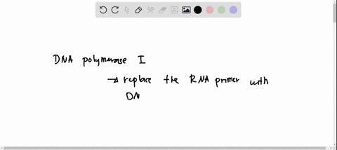 ifa-deletion-occurs-in-a-gene-that-encodes-dna-polymerase-and-no-functional-dna-polymerase-is-produced-what-will-be-the-most-likely-consequence-of-this-mutation-the-dna-strands-would-contain-48113
