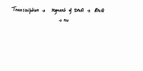 lab-practical-2-final-review-sheet-plae-vooc-follotng-surnary-auil-to-help-yvu-prrqzute_-practical-2-gene-expression-and-dna-technology-what-transcription-whene-docz-transcription-take-place-01719