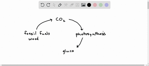 humans-burn-fossil-fuels-and-wood-releasing-carbon-dioxide-into-the-atmosphere-this-carbon-dioxide-is-then-absorbed-by-trees-for-photosynthesis-these-processes-are-contributory-to-which-chem-65936