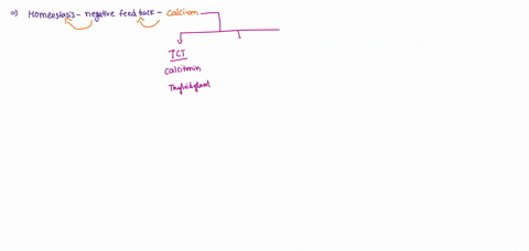 negative-feedback-mechanisms-are-essential-for-maintaining-calcium-homeostasis-in-the-body-which-of-the-following-statements-accurately-represents-how-blood-calcium-levels-are-maintained-by-homeostasi