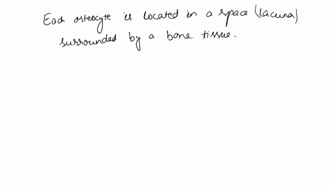 questlon-completion-status-moving-t0-another-question-wlll-save-this-response-question-2-in-the-matrix-osteocytes-are-found-in-plts-called-endosteums-central-canals-axon-hillocks-intercalate-94348