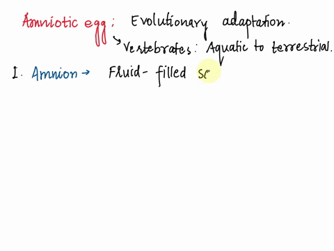 describe-in-detail-and-briefly-explain-its-importance-and-how-each-of-these-features-have-contributed-to-the-success-of-vertebrate-organismsb-the-amniotic-egg-23016