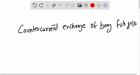 which-of-the-following-statements-about-the-countercurrendexchange-of-bony-fish-gills-is-true-water-and-blood-flow-in-the-same-direction-t0-maximlze-he-efficiency-of-gas-exchange-water-enter-72403