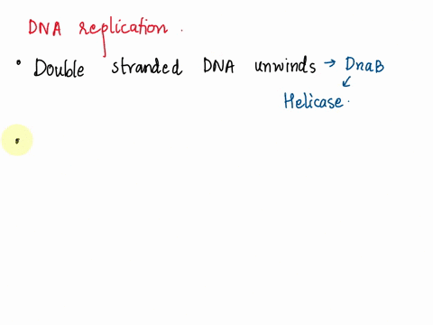 question-37-1-pts-put-the-steps-of-dna-replication-in-order-1double-stranded-dnaunzipsto-reveal-a-template-dna-strand-2-the-origin-of-replication-sequence-attracts-dna-polymerase-3-complemen-11698