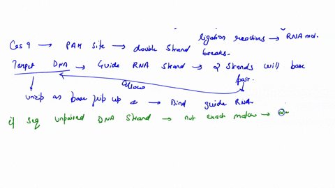 what-is-the-function-of-the-guide-rna-of-crispr86-cas-enzyme-will-find-the-target-rna-first-it-binds-to-a-pam-sequence-what-happens-if-the-guide-rna-is-complementary-to-the-sequence-next-to-51133