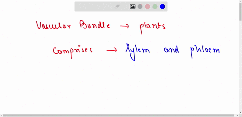 give-two-examples-of-tissues-constituting-the-vascular-bundle-in-plants-39284